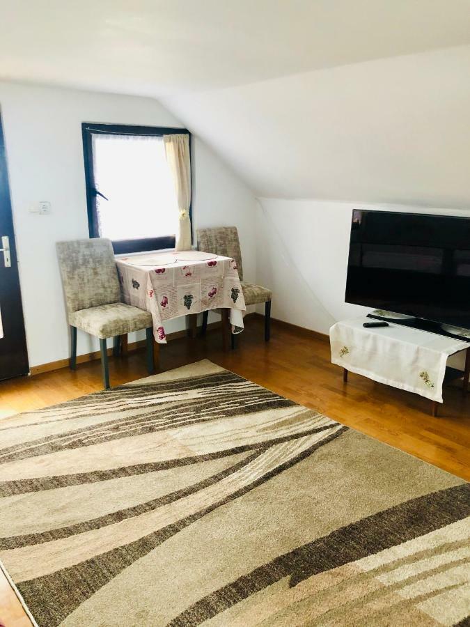 Casa Paul Otel Vişeu de Sus Dış mekan fotoğraf