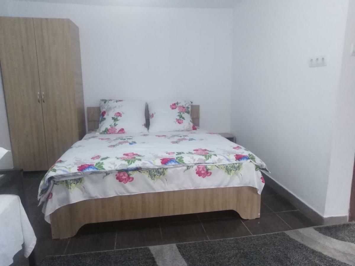 Casa Paul Otel Vişeu de Sus Dış mekan fotoğraf